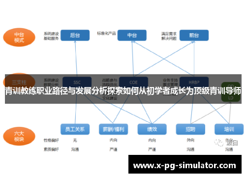 青训教练职业路径与发展分析探索如何从初学者成长为顶级青训导师
